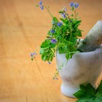 Techniques et traditions culinaires du terroir