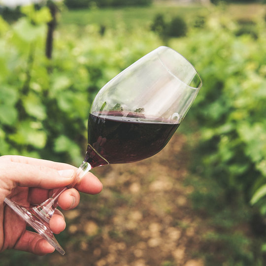Sommelier / Caviste